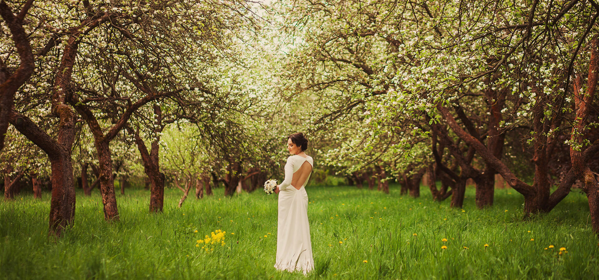 4 важных советов по организации свадьбы в саду